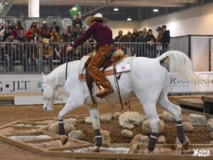 il piede del cavallo, un organo di senso