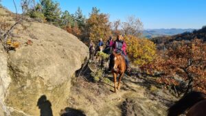 il piede del cavallo, un organo di senso